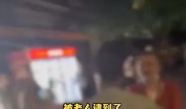 重庆小学生爆料事件视频